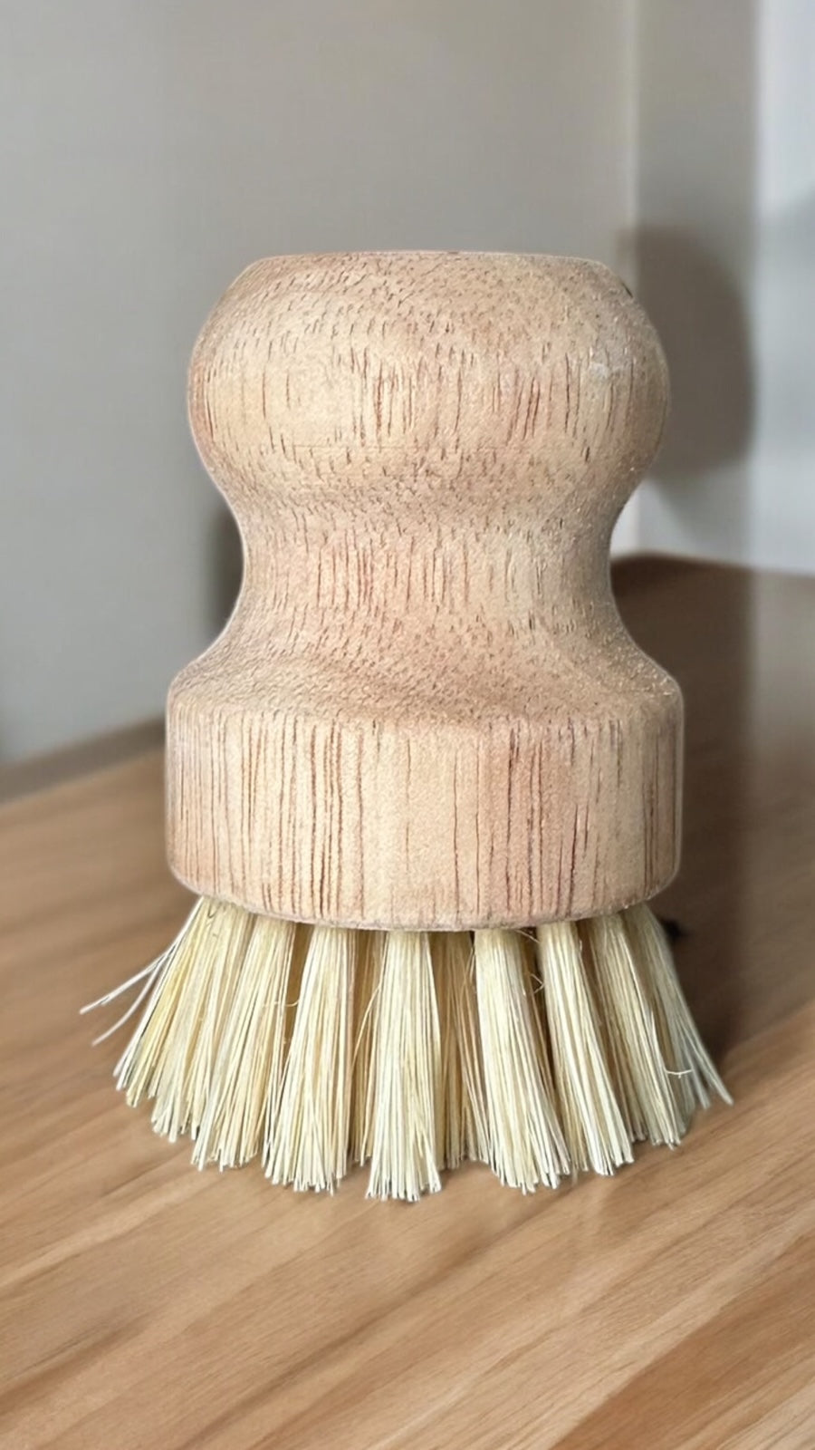 Bamboo Dish Brush